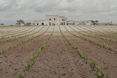 2015: MASSERIA SAMIA